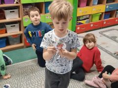 większy obrazek nr 21