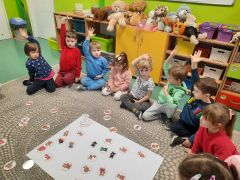 większy obrazek nr 32