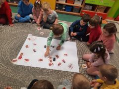 większy obrazek nr 39