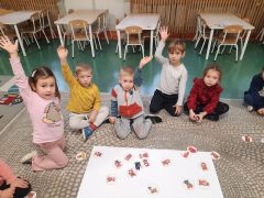 większy obrazek nr 43