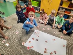 większy obrazek nr 46