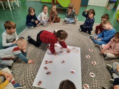 większy obrazek nr 47