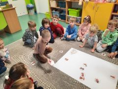 większy obrazek nr 57