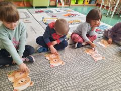 większy obrazek nr 65