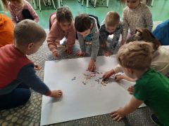 większy obrazek nr 69