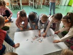 większy obrazek nr 70