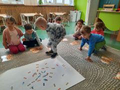 większy obrazek nr 72