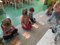 większy obrazek nr 73