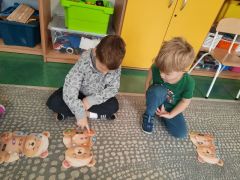 większy obrazek nr 80