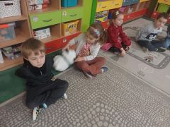 większy obrazek nr 9