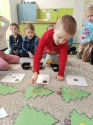 większy obrazek nr 6