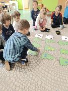 większy obrazek nr 9