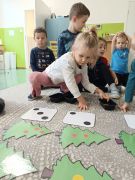 większy obrazek nr 10