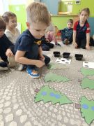 większy obrazek nr 12