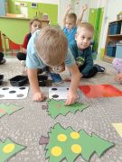 większy obrazek nr 14