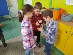 większy obrazek nr 2