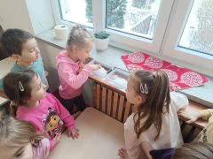 większy obrazek nr 16