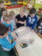 większy obrazek nr 21