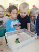 większy obrazek nr 24