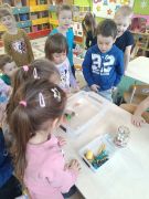 większy obrazek nr 28