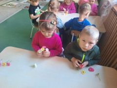 większy obrazek nr 16