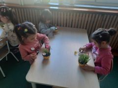 większy obrazek nr 20