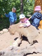 większy obrazek nr 83