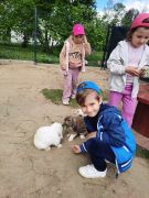 większy obrazek nr 26