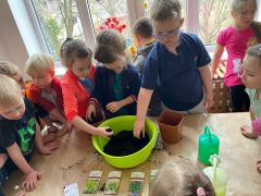 ilustracja do wpisu 
Zakładamy wiosenny ogródek