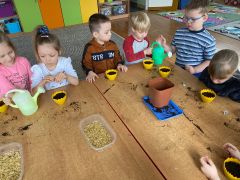 ilustracja do wpisu 
Sianie owsa -tradycja wielkanocna