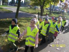 ilustracja do wpisu 
Ratujemy kasztanowce