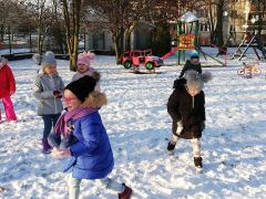 ilustracja do wpisu 
Pada śnieg