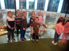 ilustracja do wpisu 
W MUZEUM PRZYRODNICZYM