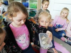 ilustracja do wpisu 
,, Na wiosennej łące"