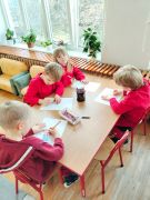 większy obrazek nr 6