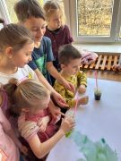 większy obrazek nr 20