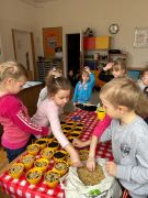 większy obrazek nr 6