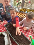 większy obrazek nr 10