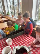 większy obrazek nr 15