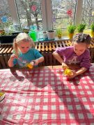 ilustracja do wpisu 
Kaczuszki i baranki