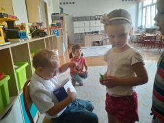 większy obrazek nr 8