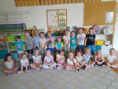 większy obrazek nr 12