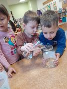 ilustracja do wpisu 
ZADANIA W RAMACH PROJEKTU PRZYRODNICZO- MATEMATYCZNEGO "PRZEDSZKOLNA AKADEMIA NAUKI"