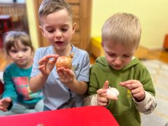 większy obrazek nr 2