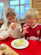 większy obrazek nr 5