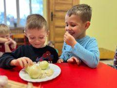 większy obrazek nr 8