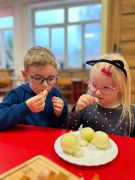 większy obrazek nr 13