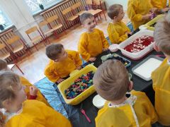 większy obrazek nr 5