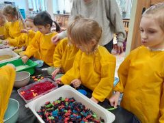 większy obrazek nr 9