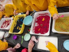 większy obrazek nr 11